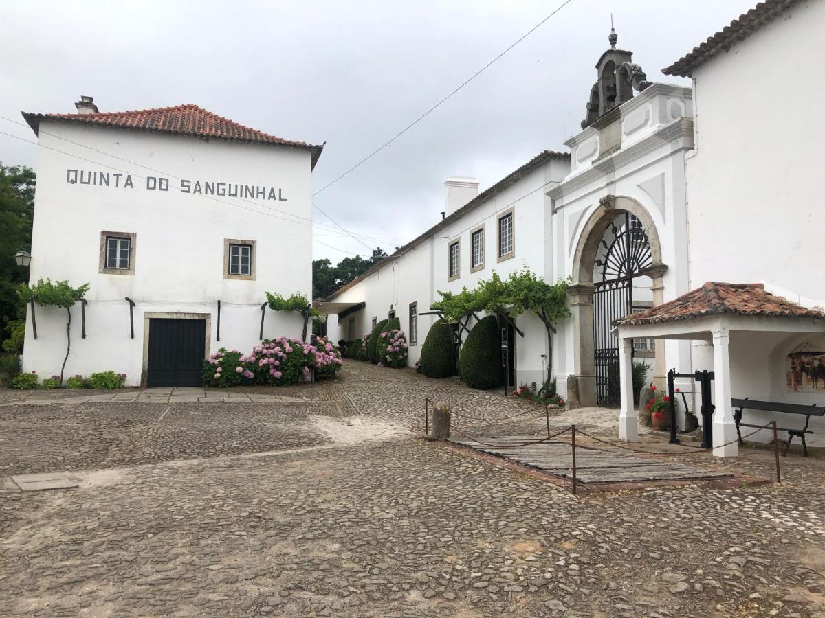 Bed and Breakfast Terra Luso Proche De Montejunto Cadaval Экстерьер фото